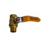 N818P391700X