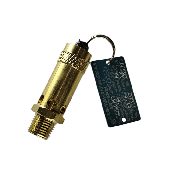 N818P391691X Safety Valve