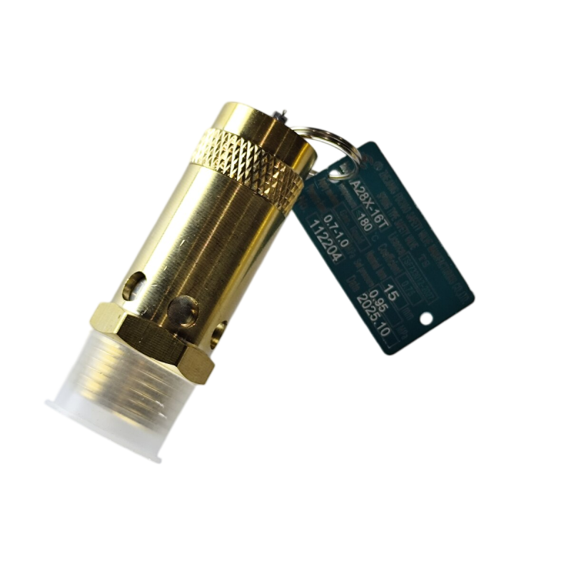 N818P391692X Safety Valve