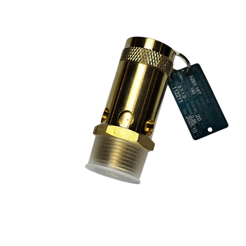 N818P391693X Safety Valve