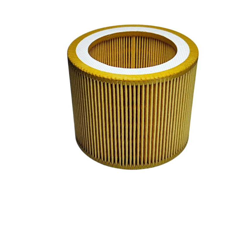 N818P391702X Air Filter